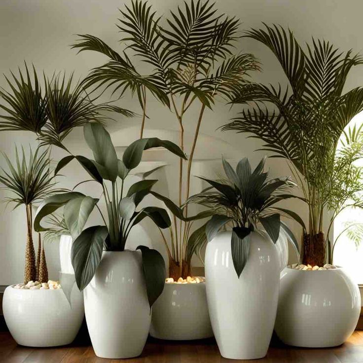 Indoor Planter Decoration Ideas